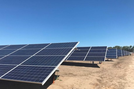 Queensland solar farms actively hiring backpackers: Insider