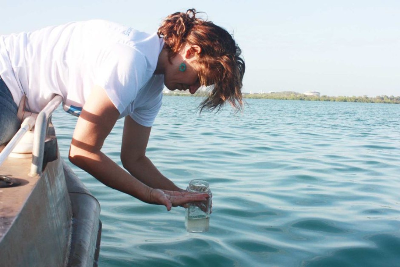 Days after the spill, a marine campaigner takes water samples from Darwin harbour for testing.