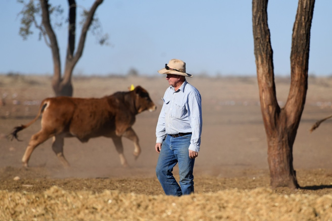 Farmers want to better understand the Morrison government's almost $100 million deal.  