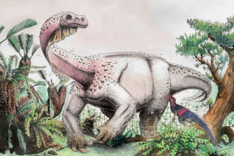Jurassic giant could explain when and why some dinosaurs walked on all fours