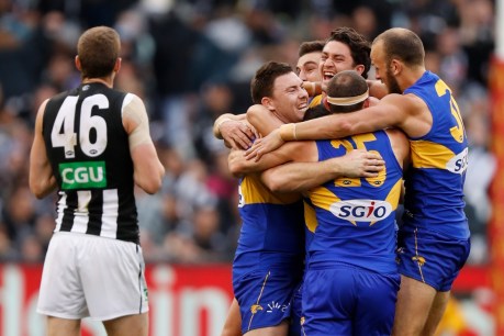 Rohan Connolly: The game emerges victorious in a truly great grand final