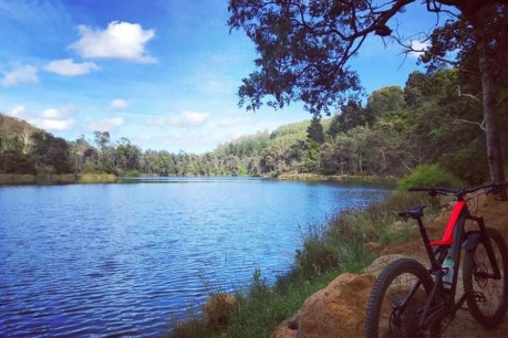 Mineral Resources Tasmania accused of blocking land transfer for bike trail expansion plans