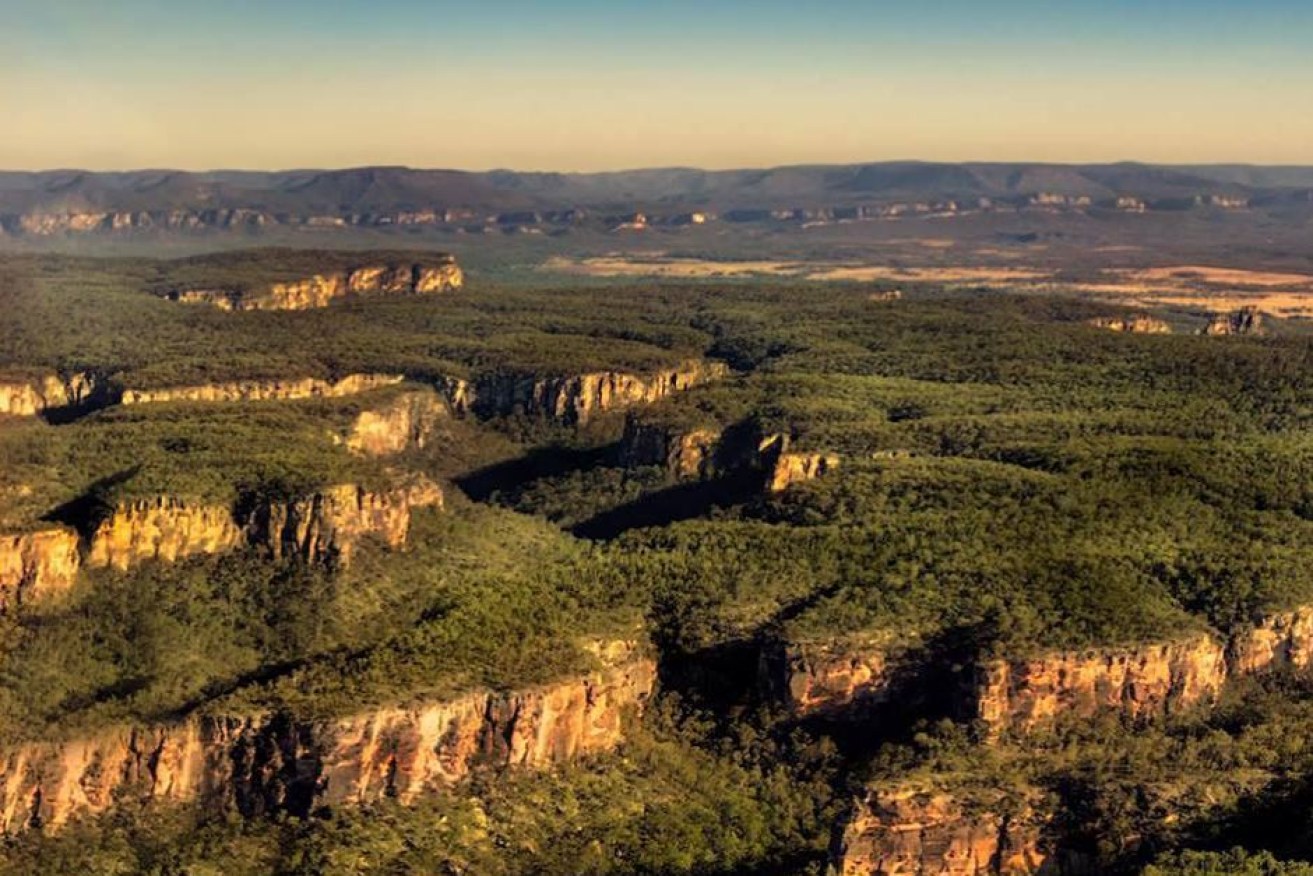 Carnarvon Gorge National Park in Queensland which is home to a diverse range of animal habitats.


