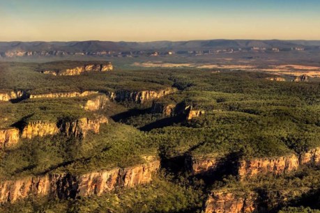 Queensland needs more national parks to protect threatened species, conservationists say