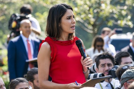 'She's shocked I picked on her': Trump insults journo