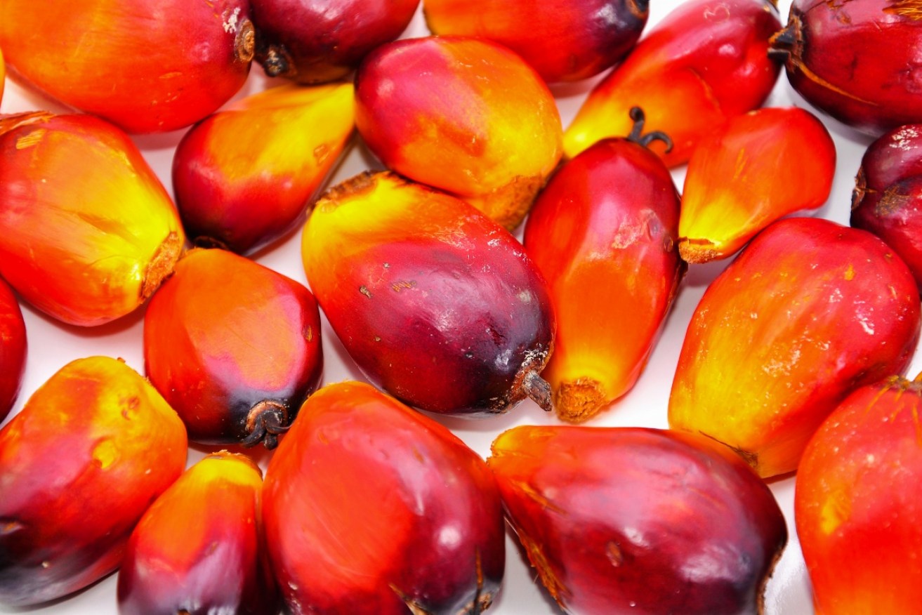 Corporations like Nestle are cracking down on palm oil, but not all producers are unethical.