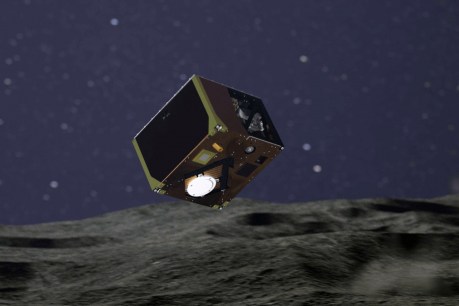 Relief as scout touches down on distant asteroid