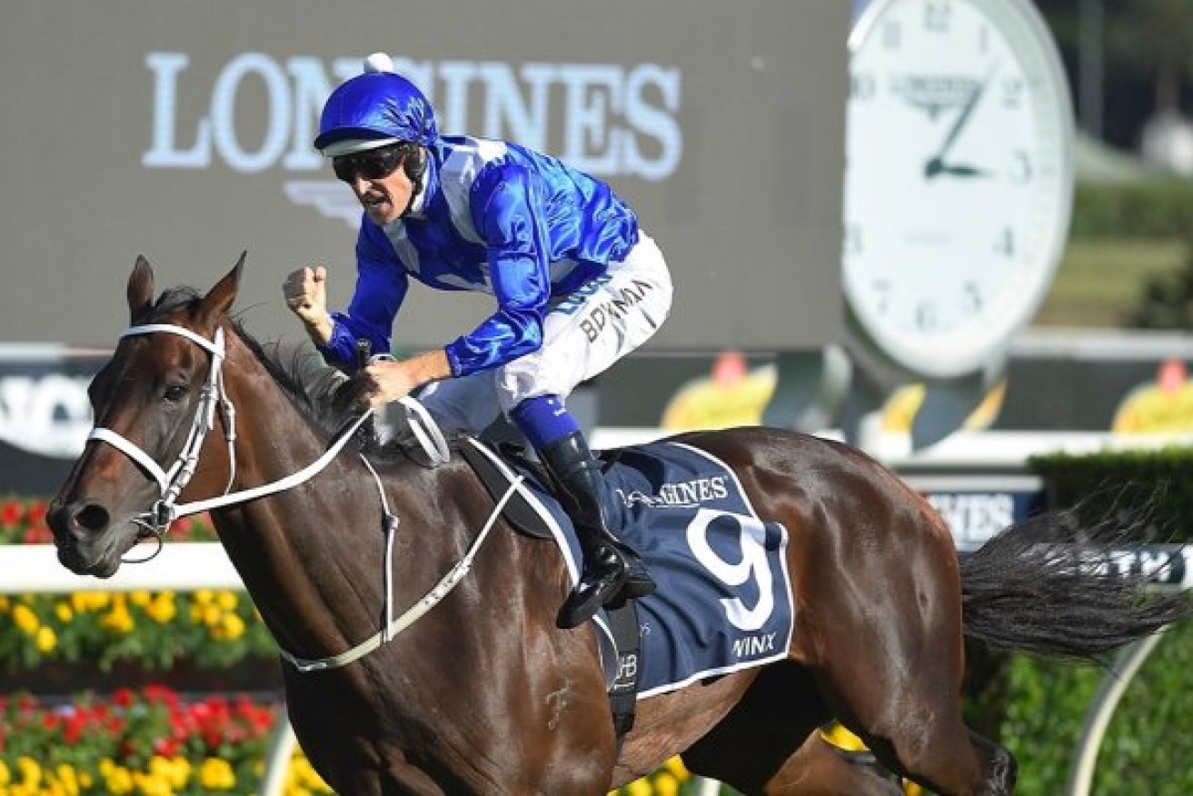 Melbourne journalist Andrew Rule has penned a biography of superstar racehorse Winx. 