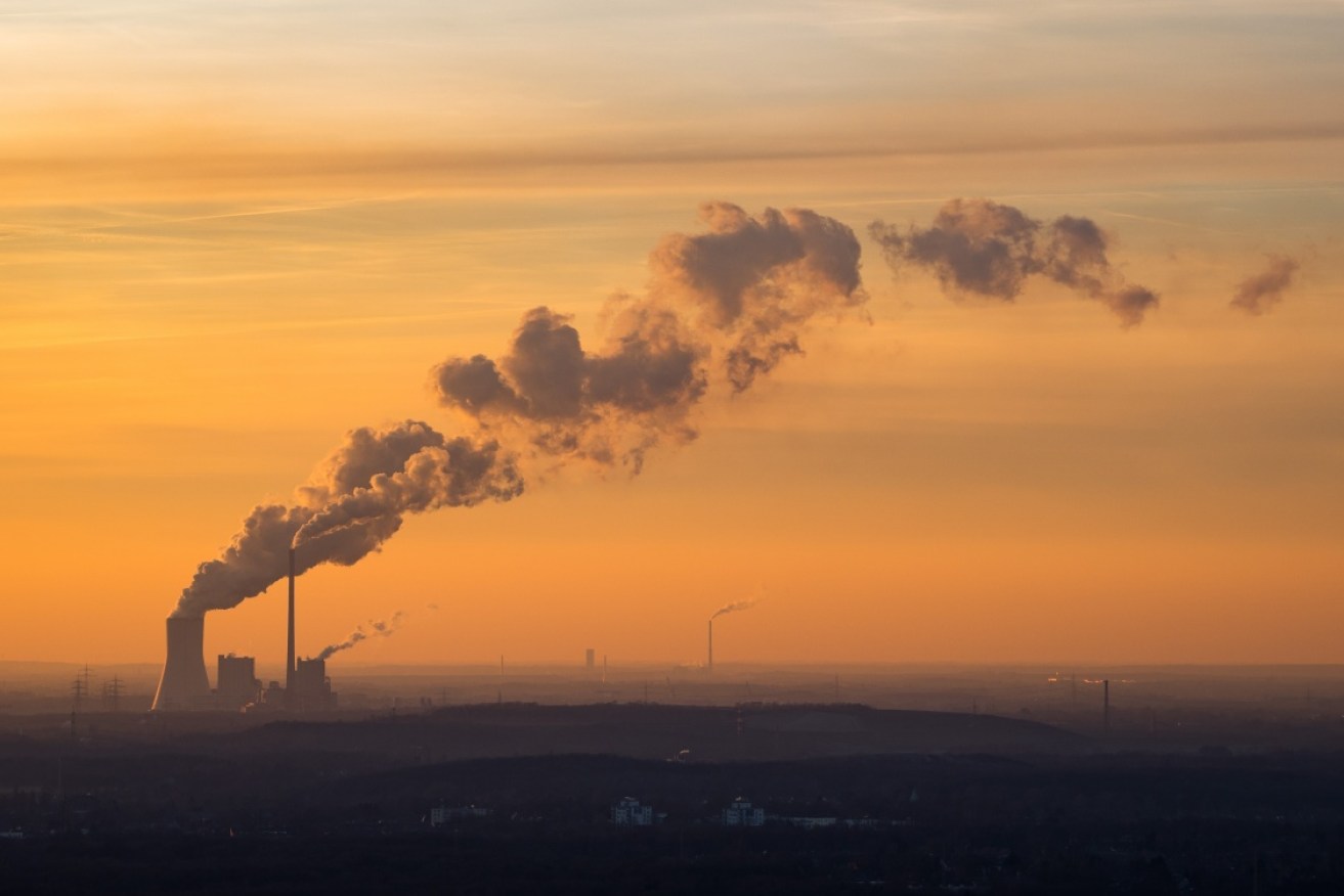 CO2 emissions must go into freefall immediately, the IPCC has warned.