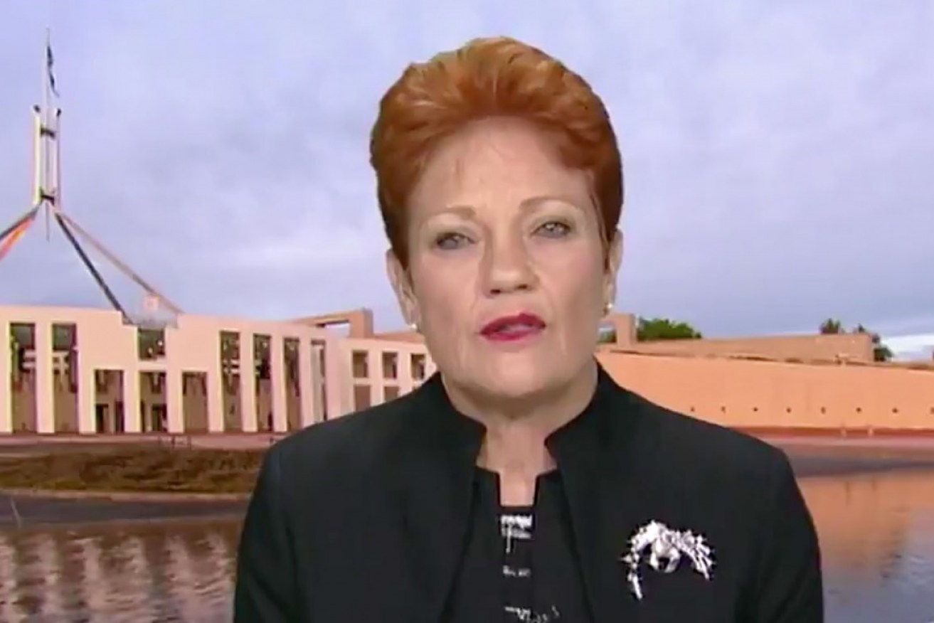 One Nation leader Pauline Hanson. 