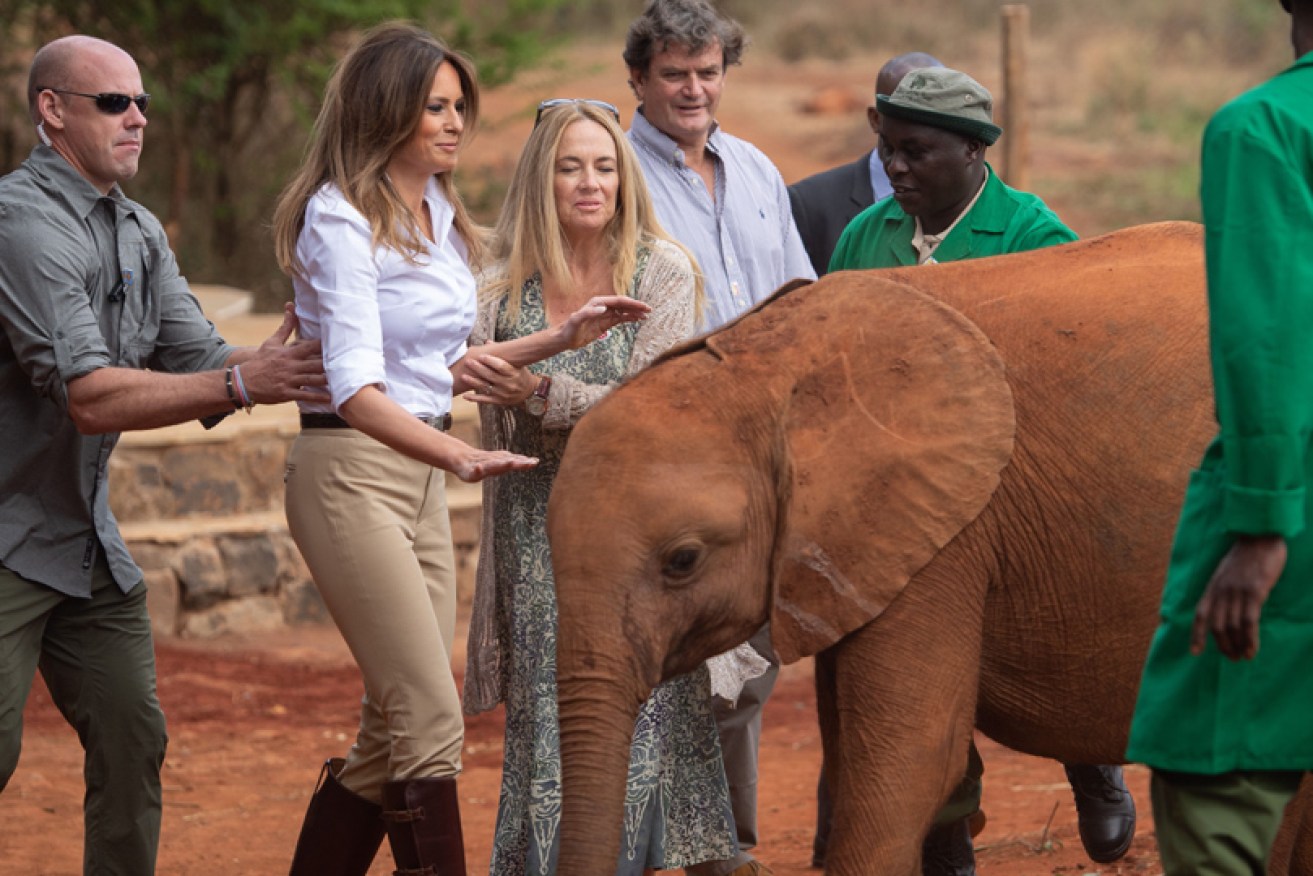 A secret service agent steadies Melania Trump after an elephant bumped her in Nairobi on October 5.