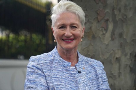Fake email claiming that Kerryn Phelps has HIV part of &#8216;dirty tricks&#8217; campaign