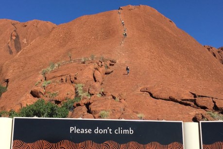 Girl, 12, &#8216;lucky to be alive&#8217; after falling while climbing Uluru