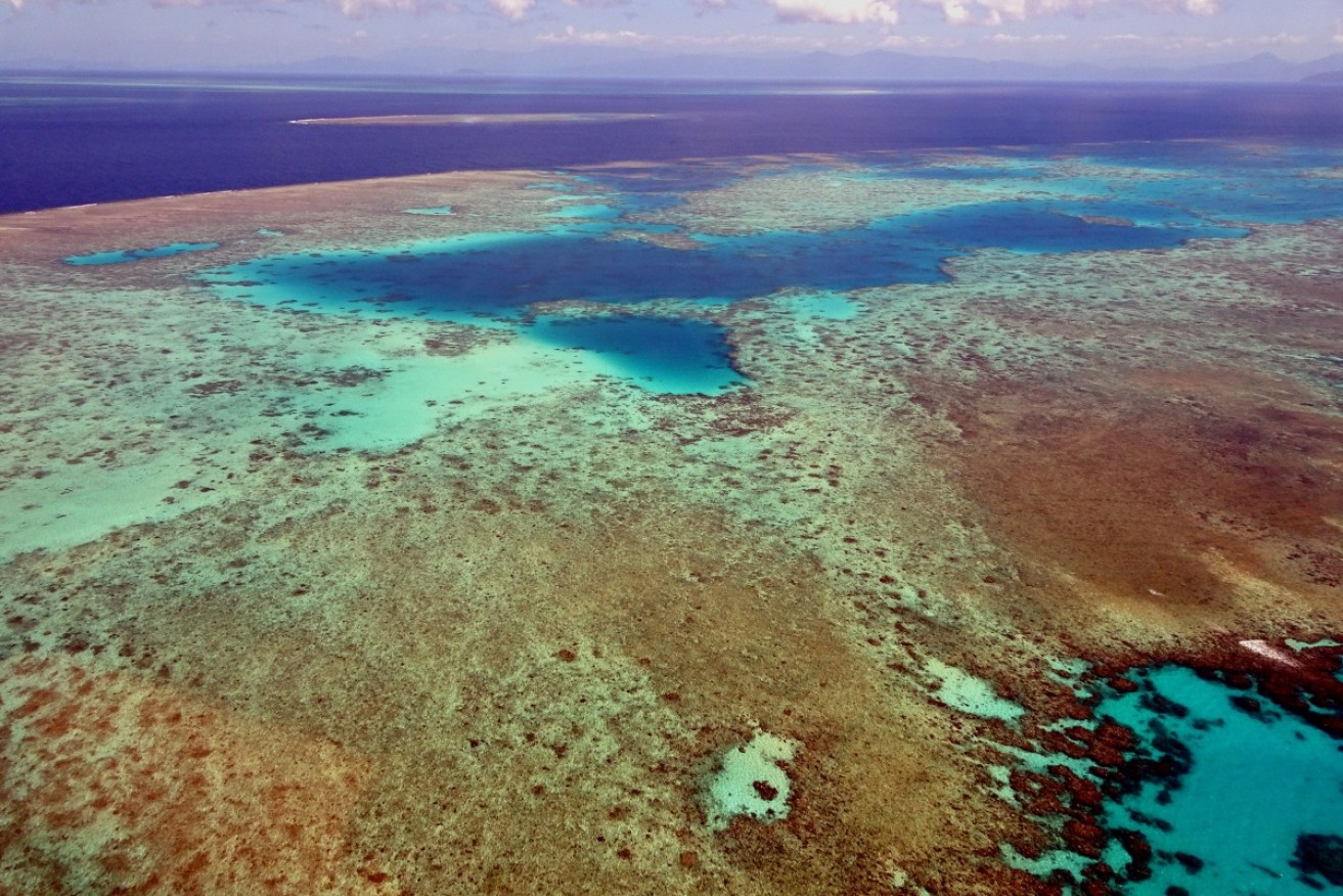 Australia is witnessing the impacts of climate change on its oceans in real time.