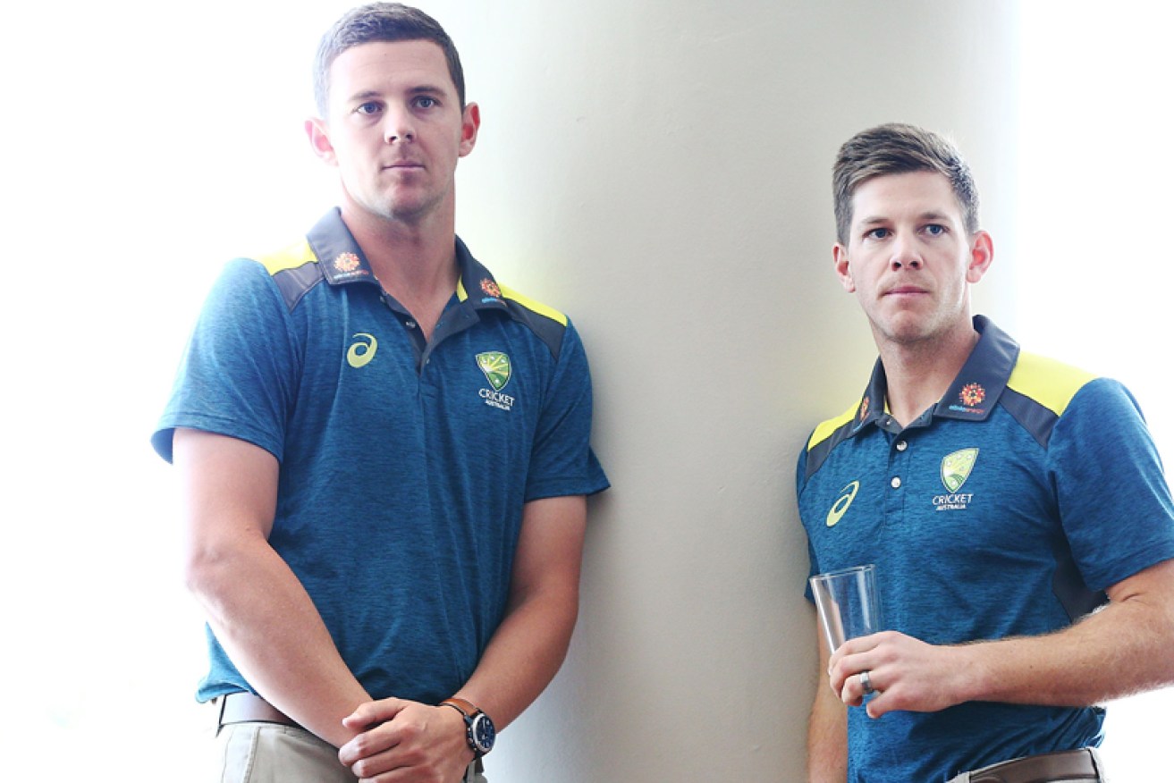 It's fallen to Captain Tim Paine (R) and Co Vice-Captain Josh Hazlewood to mop up cricket's mess.