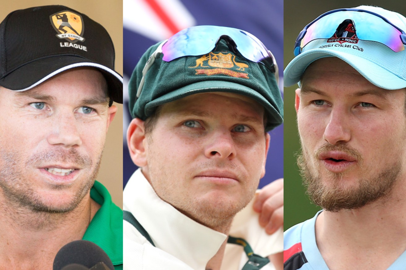 David Warner, Steve Smith and Cameron Bancroft are in for a big - and tough - year.