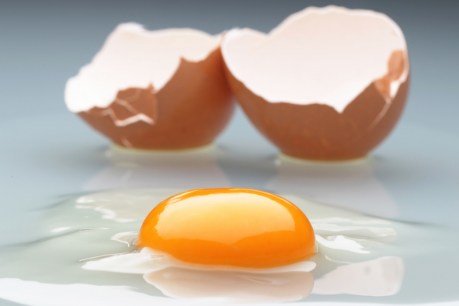 Eggs recalled after yet another salmonella contamination alert