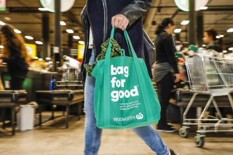 Ban cuts Woolworths plastic bag waste by 600 million in three months