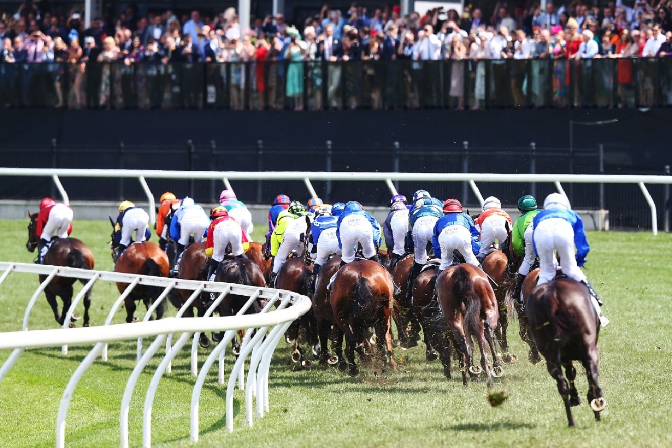 Horses jockey for position on the first lap in the Melbourne Cup. Photo: Getty