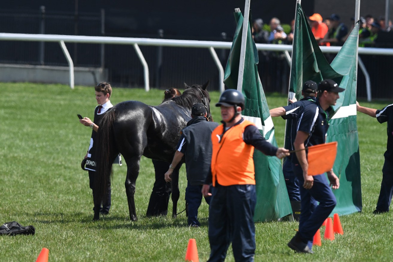 A terrible end. The Cliffsofmoher moments after breaking down in the 2018 Melbourne Cup.