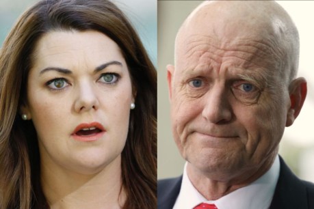 Greens senator Sarah Hanson-Young wins defamation case against David Leyonhjelm