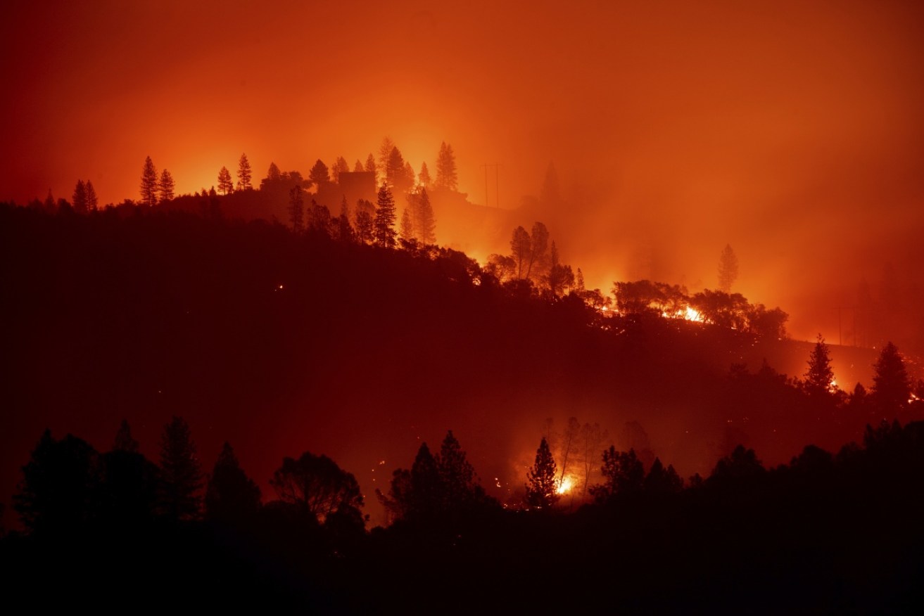The Camp Fire burns along a ridgetop near Big Bend, California on Saturday, local time (Sunday, AEST). 