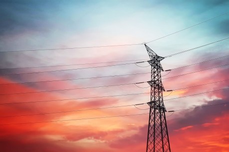 Energy suppliers cool on government&#8217;s intervention in market