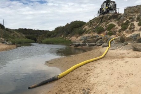 Sludge spill closes section of Adelaide beach