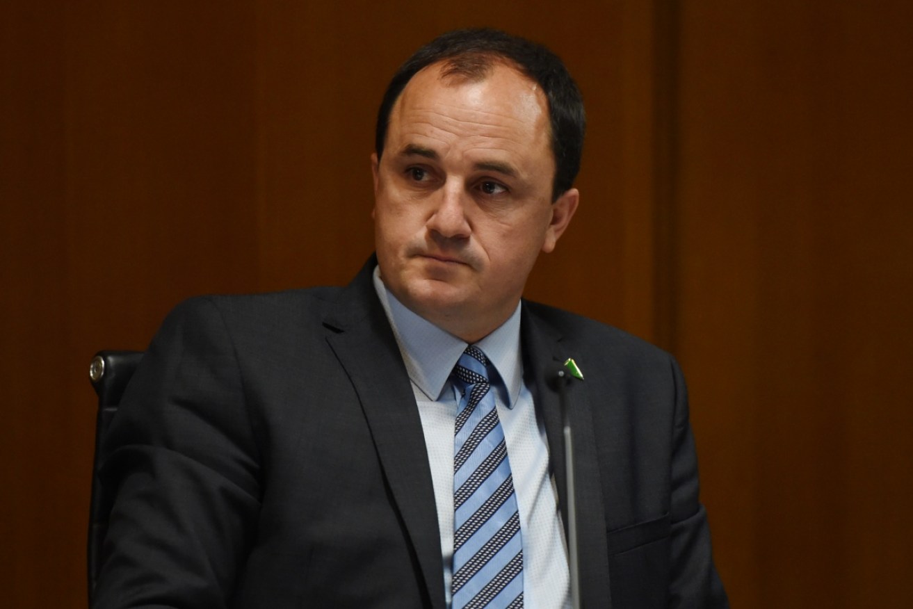 NSW Greens MLC Jeremy Buckingham denies the allegation from 2011.