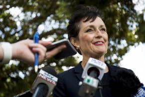 NSW Minister for the Prevention of Domestic Violence announced the change on Thursday.