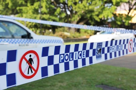 Six Sydney teens stabbed and older man bashed at wild Sydney park party