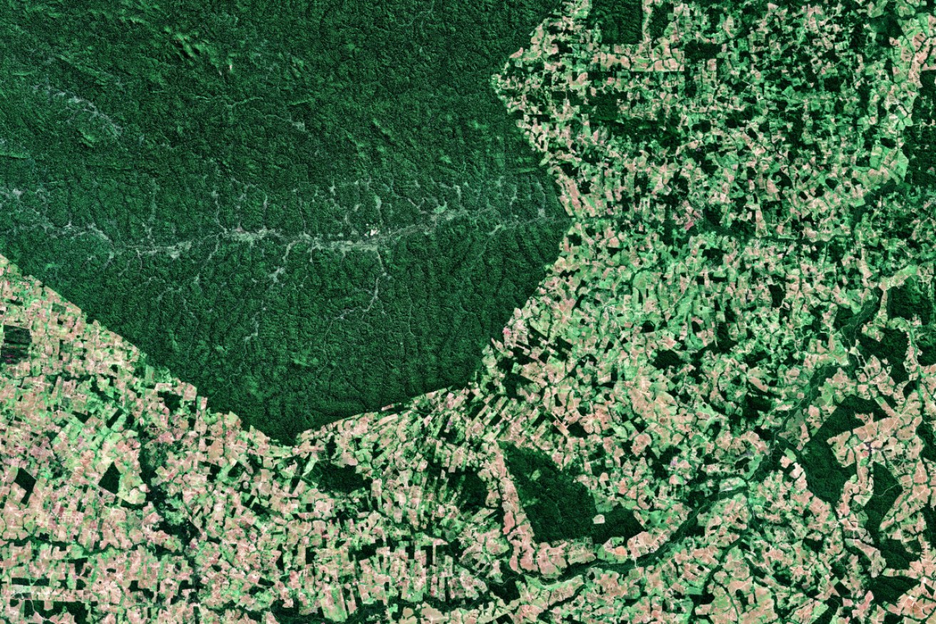 This satellite image shows deforestation south of the Parakana Indigenous Reserve in Para.