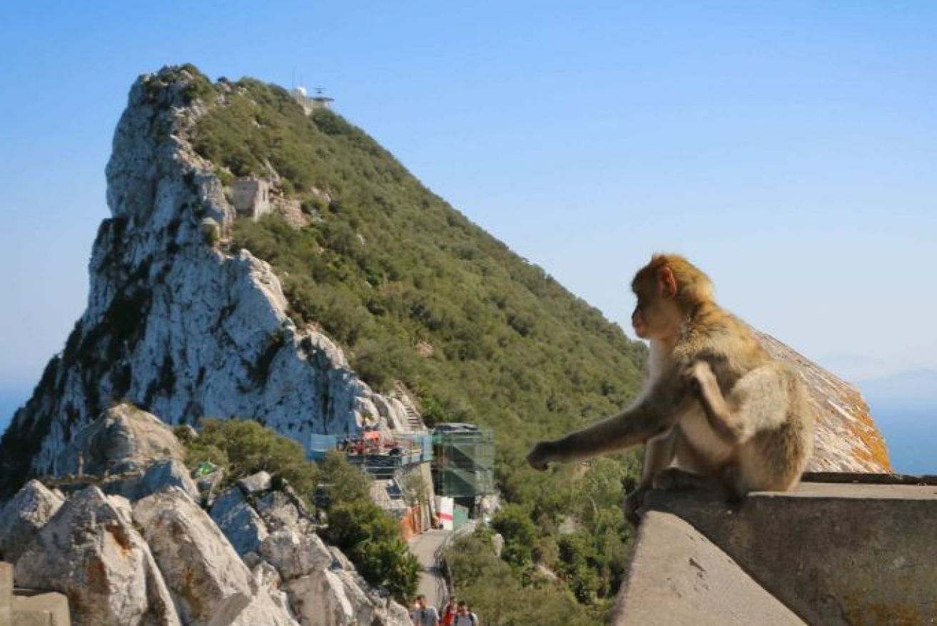 Tradition has it that the British will hold Gibraltar as long as monkeys remain there. 