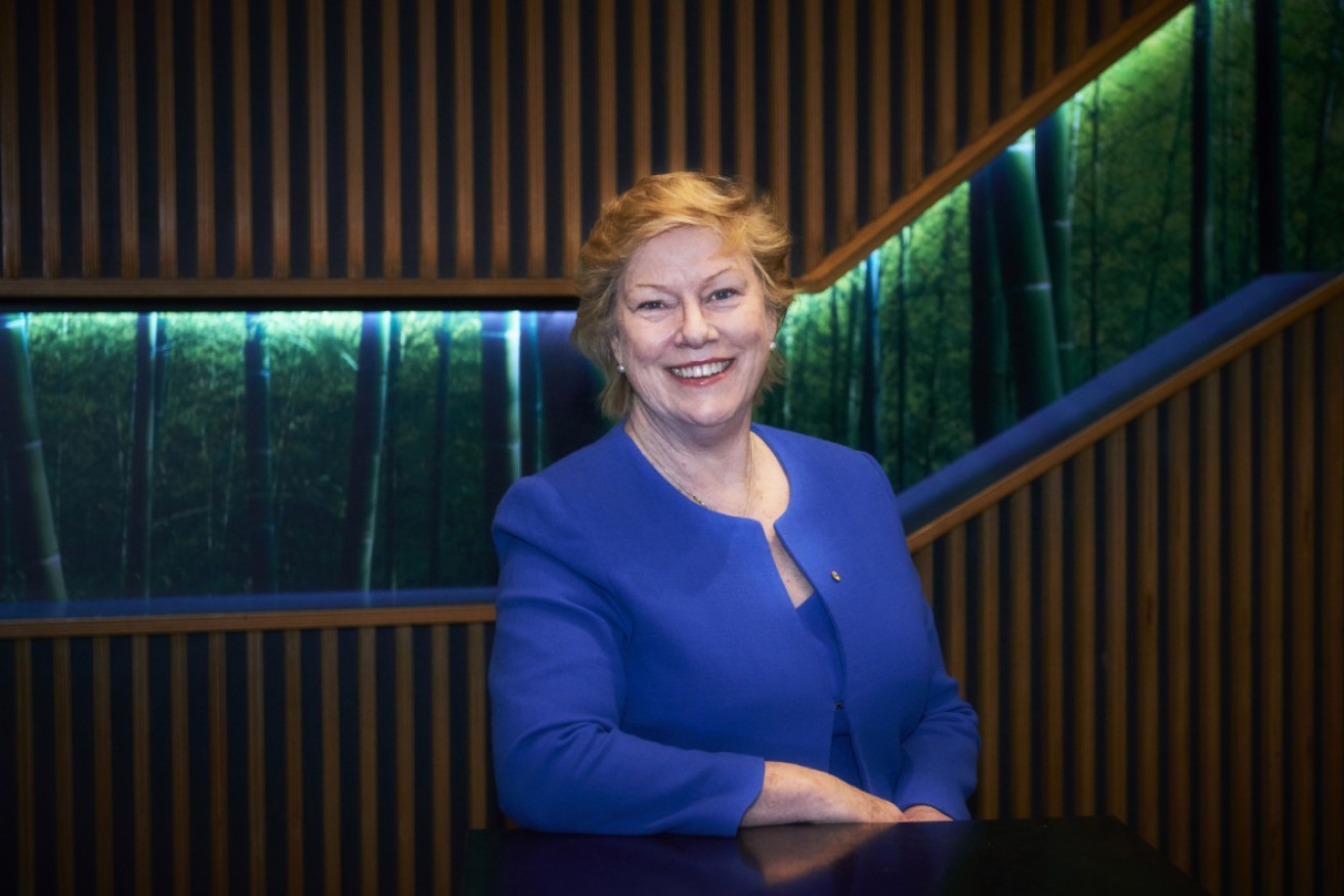 Megan Clark is the chief executive of the Australian Space Agency, and oversees a plan to triple the value of the Australian space industry to between $7 billion and $9 billion a year by 2030. 