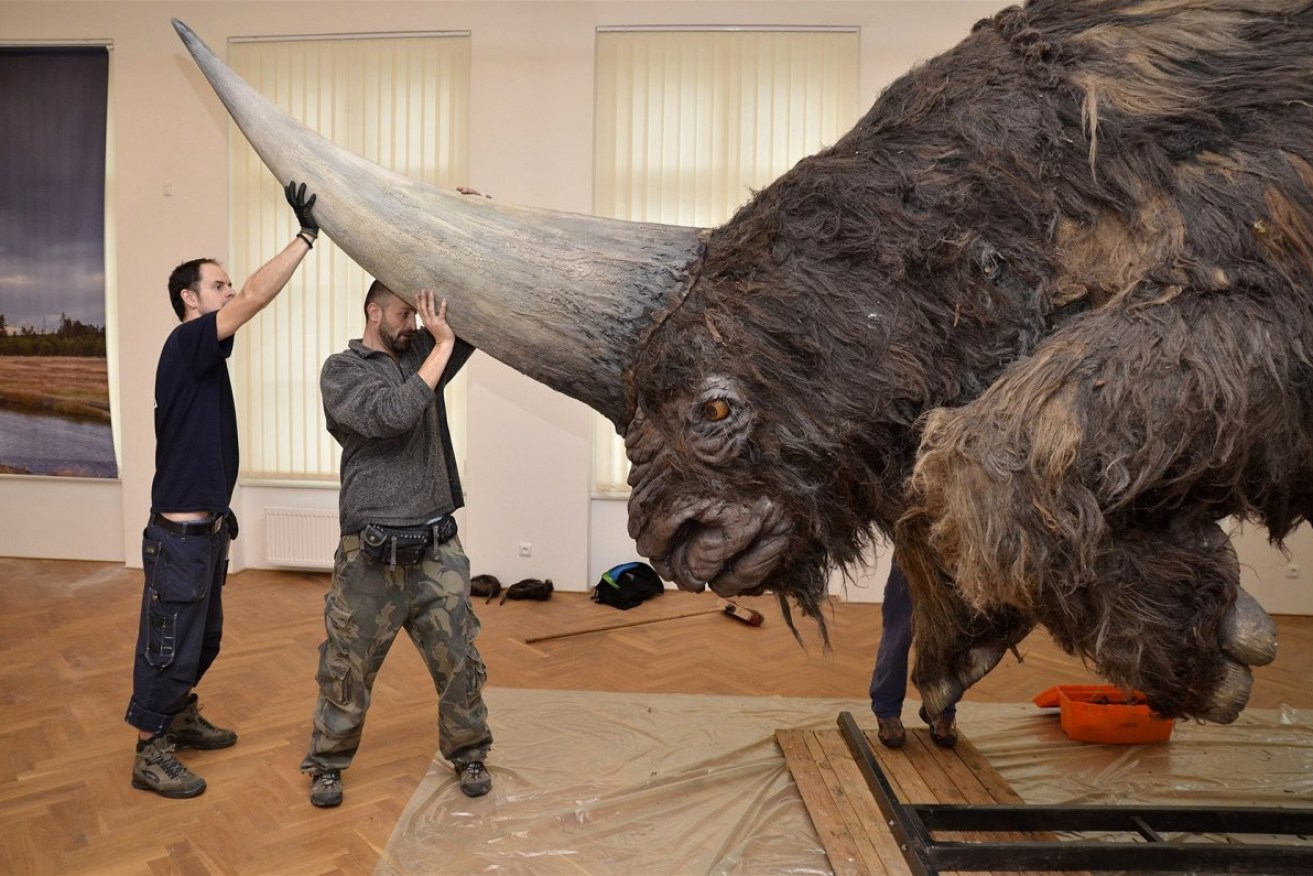 Australian scientists believe the Siberian unicorn was a victim of climate change.
