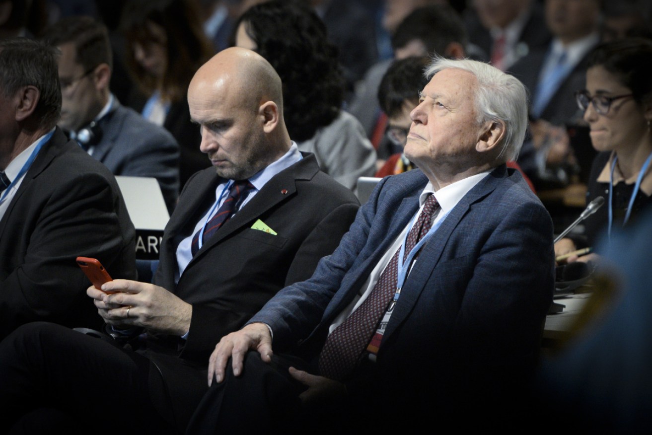 Mr Attenborough urged world leaders to act on a 'man-made disaster of global scale'.