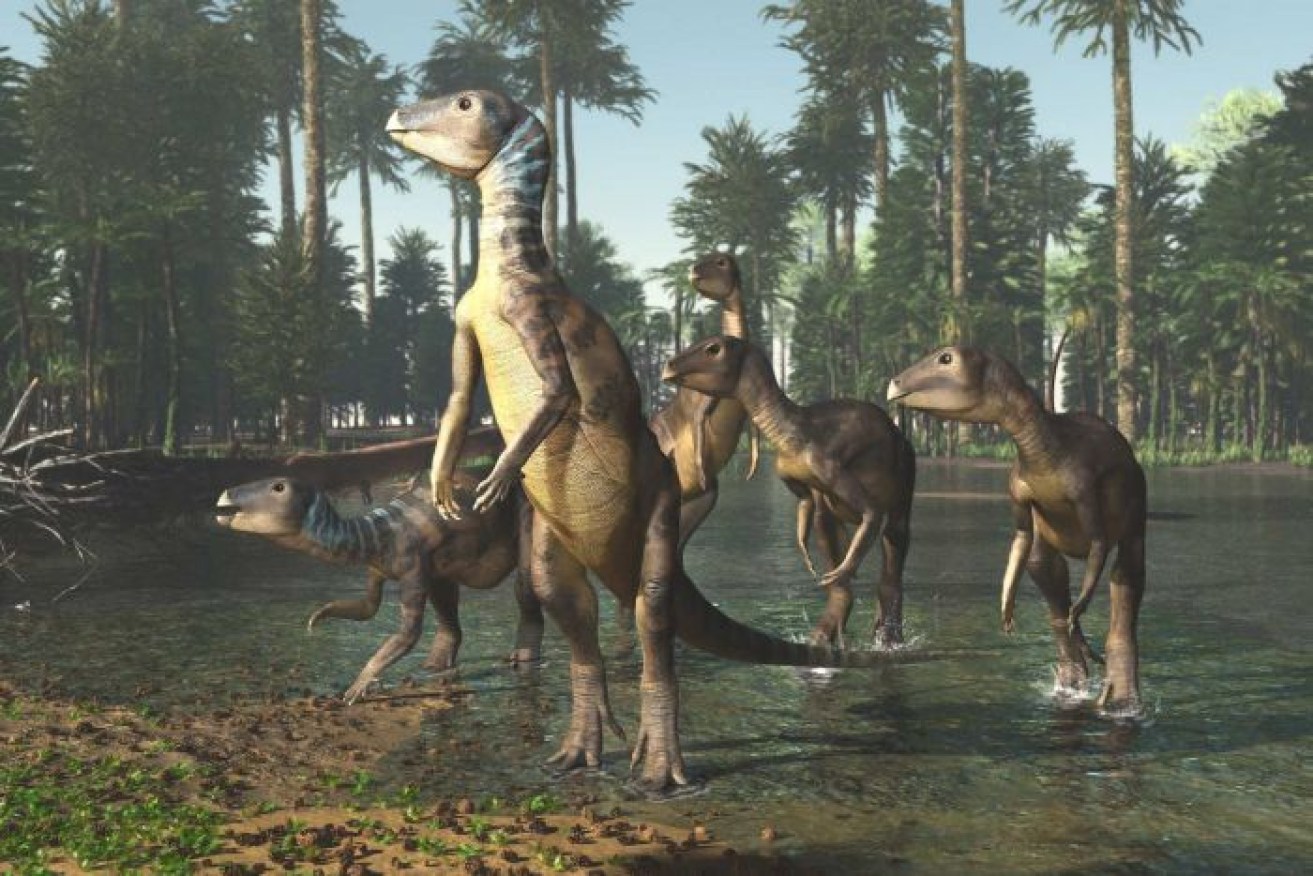 Weewarrasauras was discovered at Lightning Ridge in northern NSW.