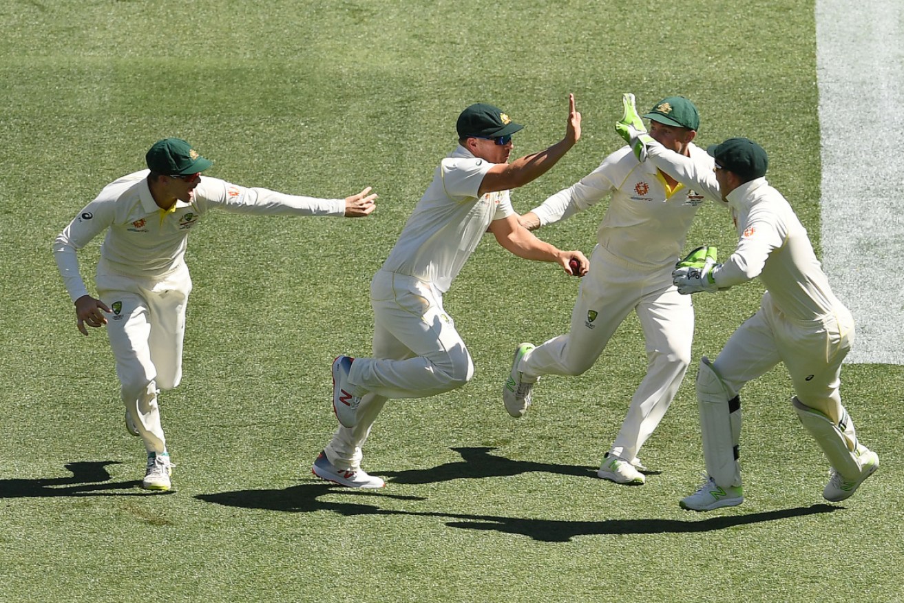 Australia's bowlers gave their team mates plenty to celebrate at the Adelaide Oval