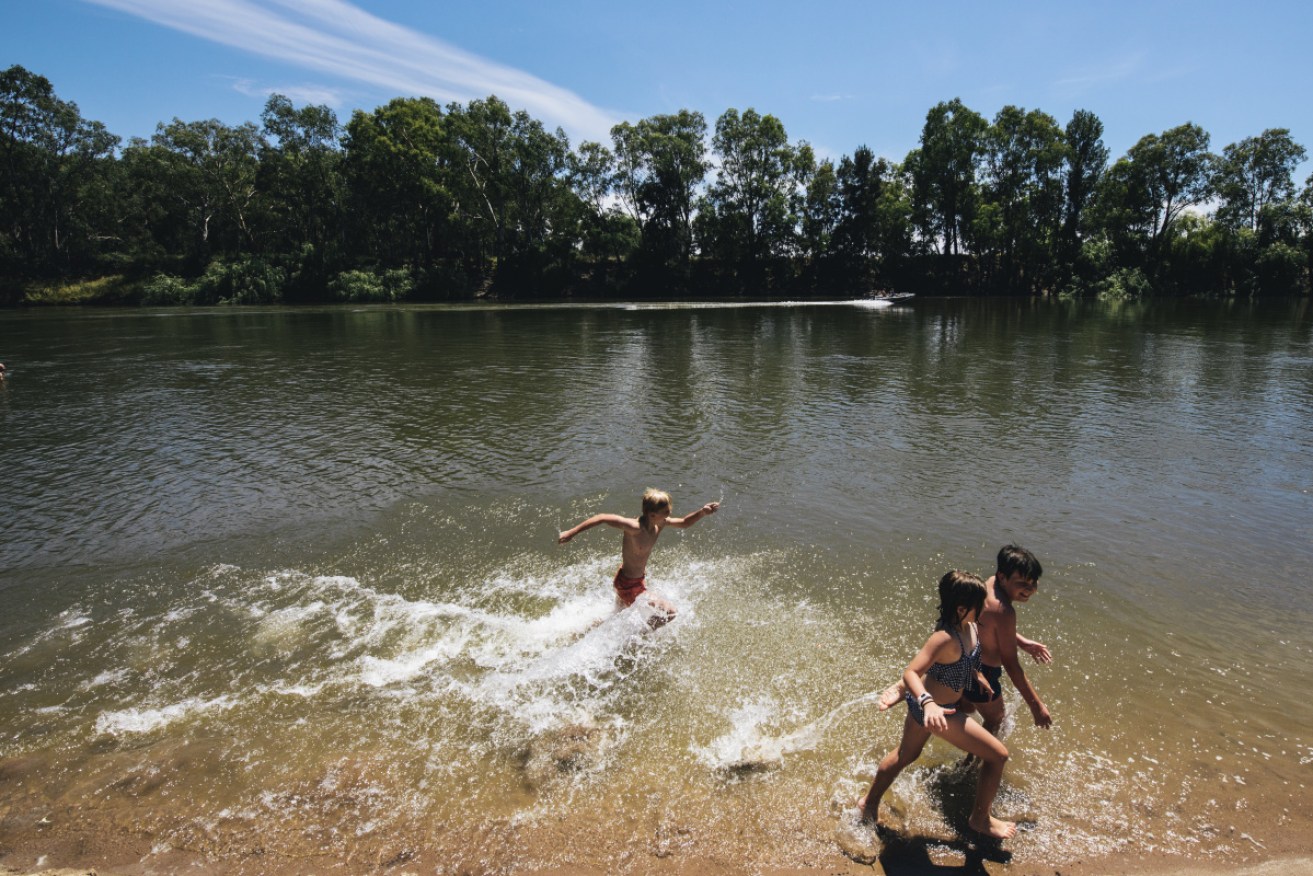 Cooling off in the Murrumbidgee River at Wagga Wagga - Airbnb's No.1 Australian hotspot for 2018.