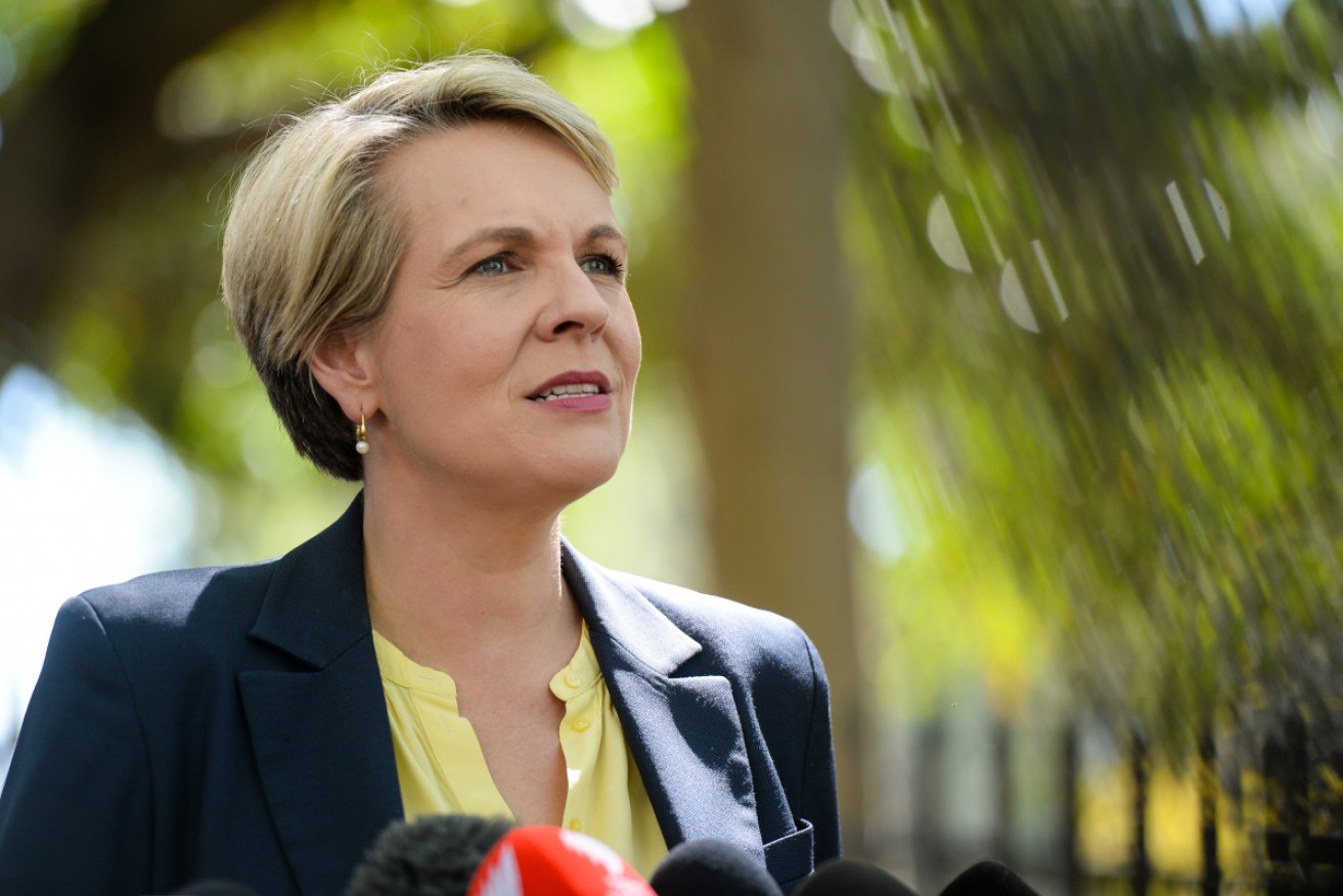 Environment Minister Tanya Plibersek says 'blue carbon projects' will restore coastal ecosystems.