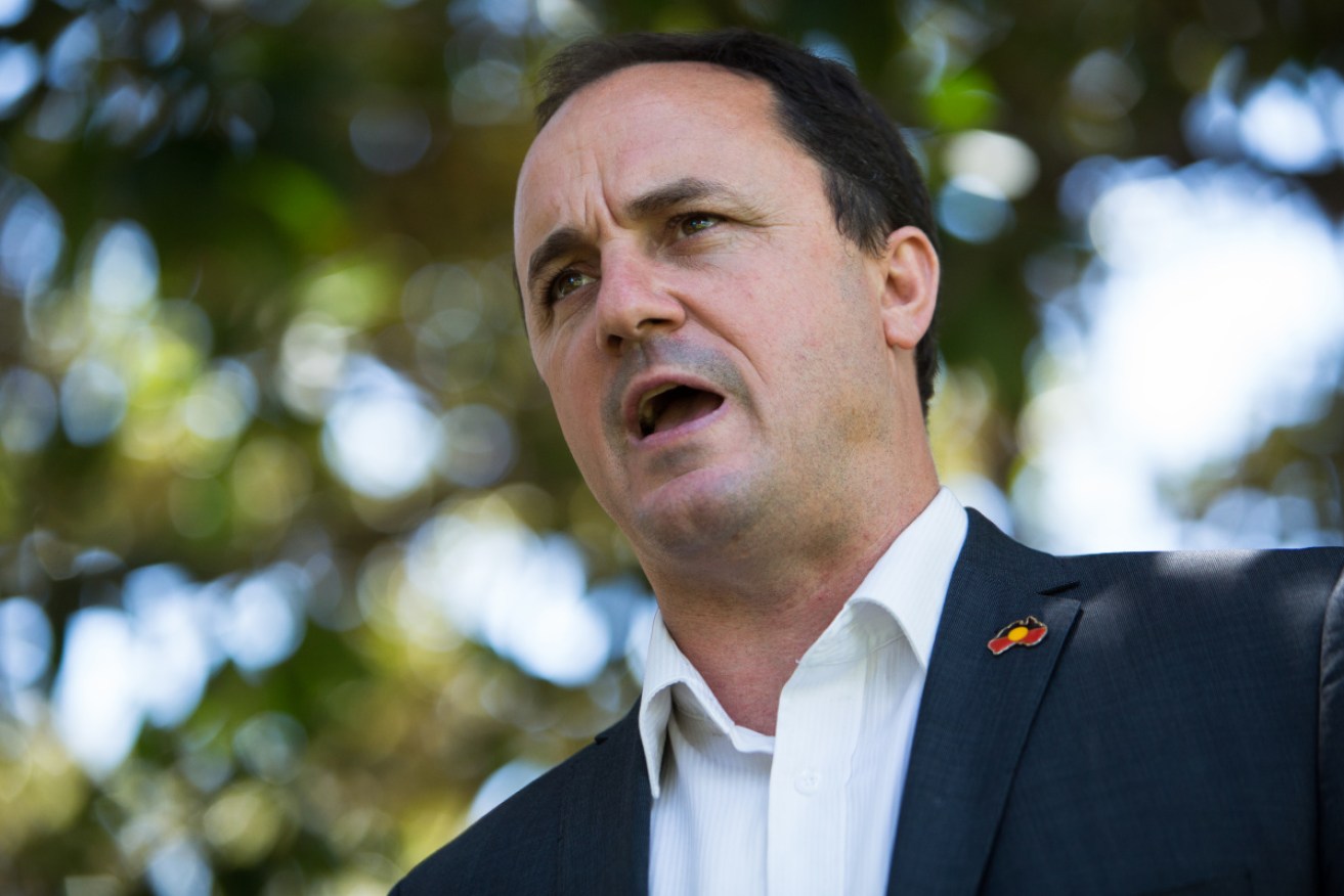 Jeremy Buckingham blasted his former Greens colleagues as "out of step" with Australia.