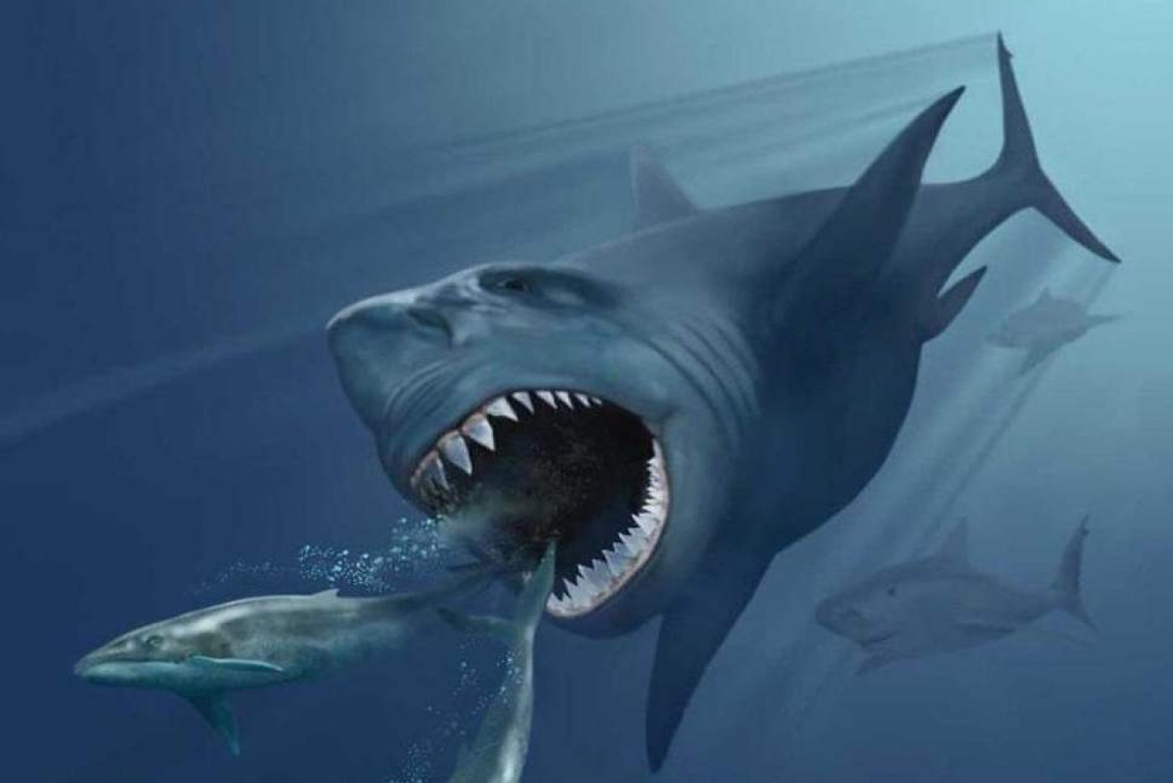The mighty Megalodon probably died out from cancer caused by a supernova's radiation.