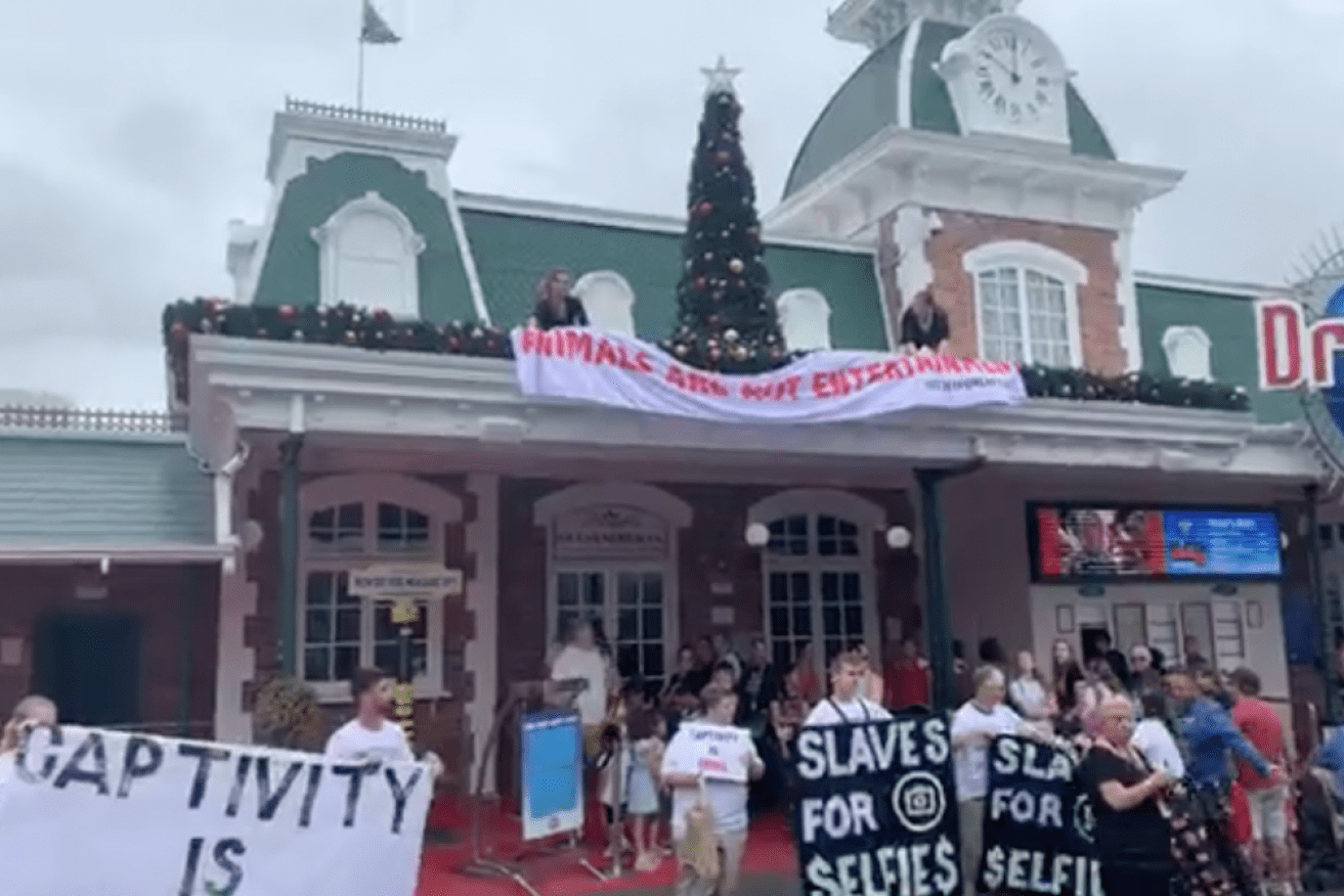 Protesters from Justice for Captives were at Dreamworld on Sunday.