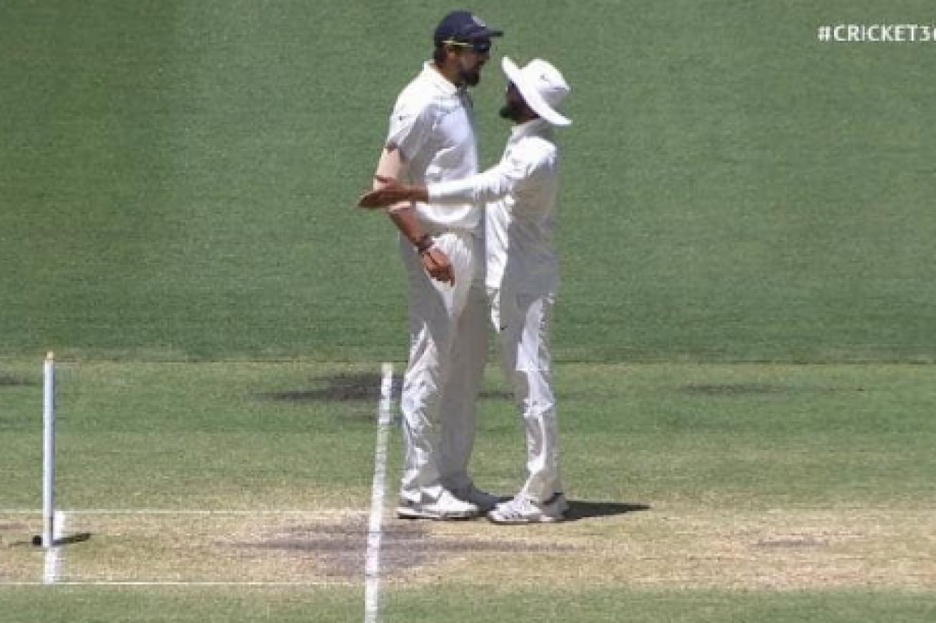 Ishant Sharma and Ravindra Jadeja went at it in Australia's second innings.