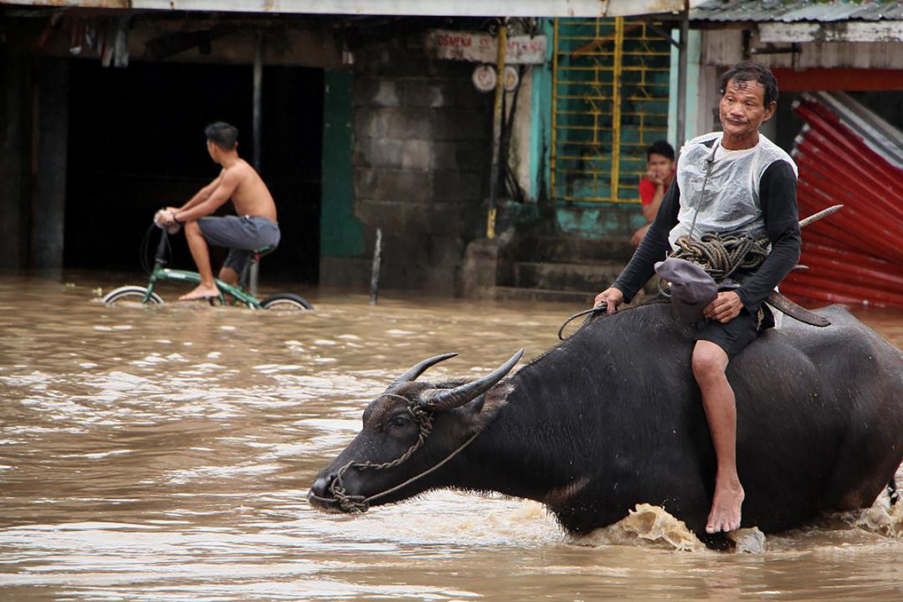People and beasts wade through a flooded street in the town of Baao in Camarines Sur province of the Philippines. 