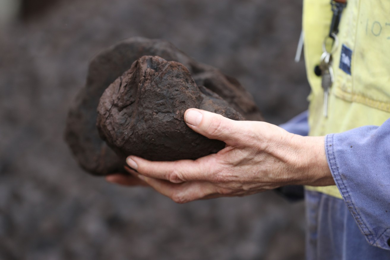India is looking to the US and Canada, as it scales back its Australian coal imports.