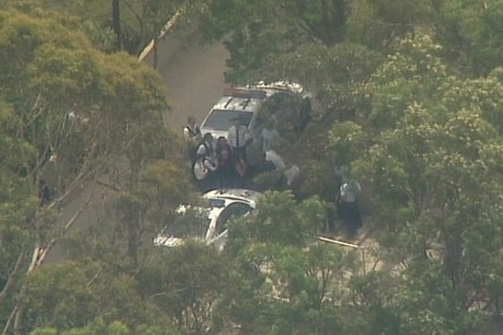 Teen arrested after fatal stabbing at Sydney&#8217;s Scientology centre