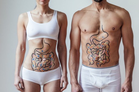 Taking care of your tummy: Do we actually understand ‘gut health’?
