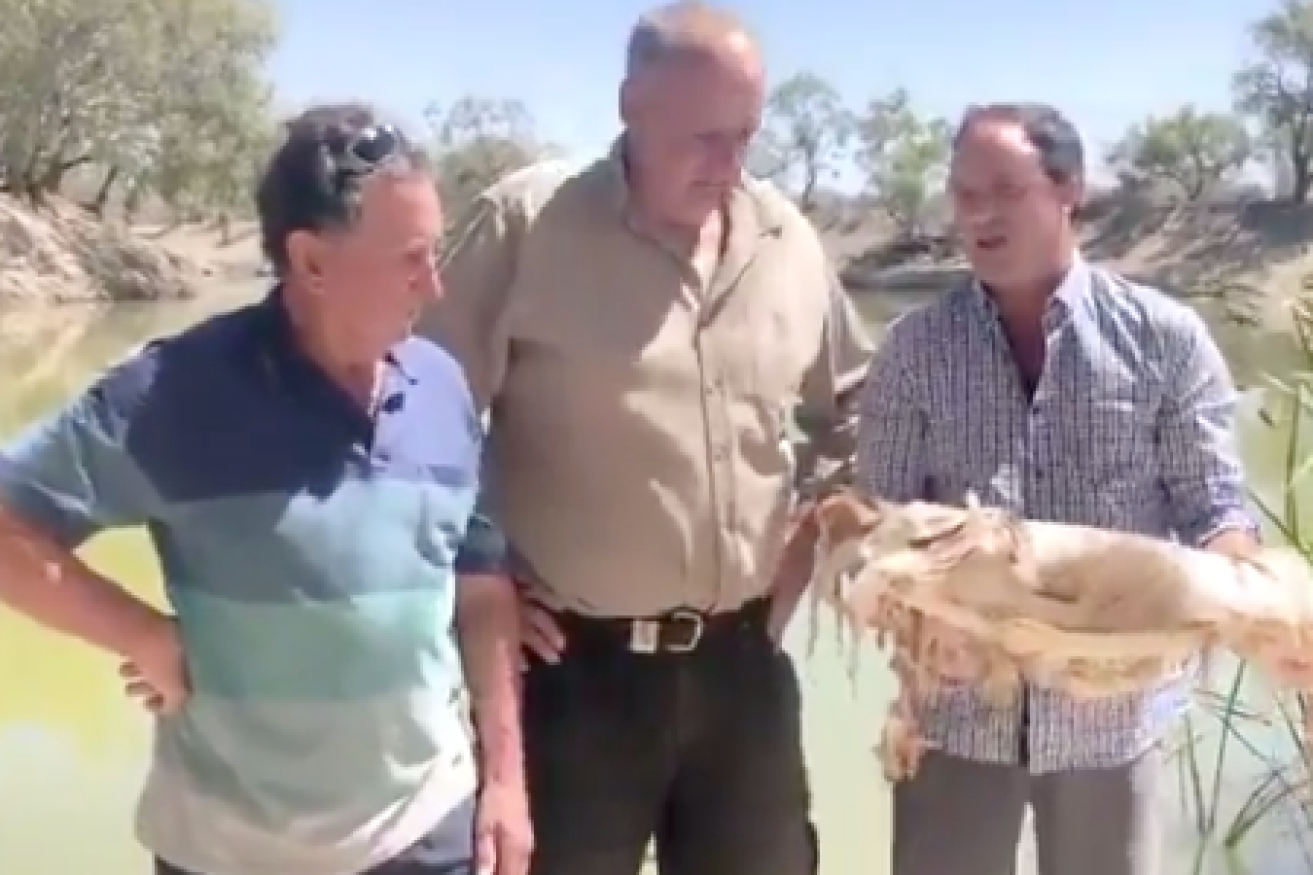 Independent NSW MP Jeremy Buckingham retches while discussing the Murray Darling fish crisis.
