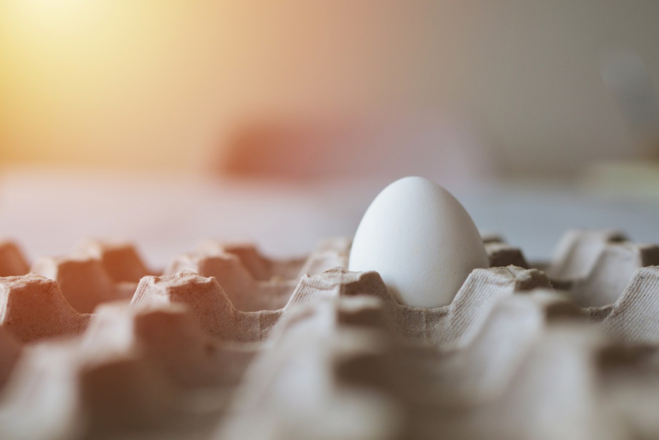 Another round of salmonella contamination fears has hit the country's egg industry.